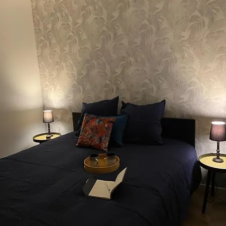 Apartment Maison Hyper Centre-hopital Et Parking *