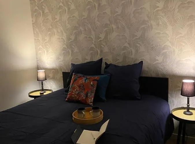 Apartmán Maison Hyper Centre-hopital Et Parking *